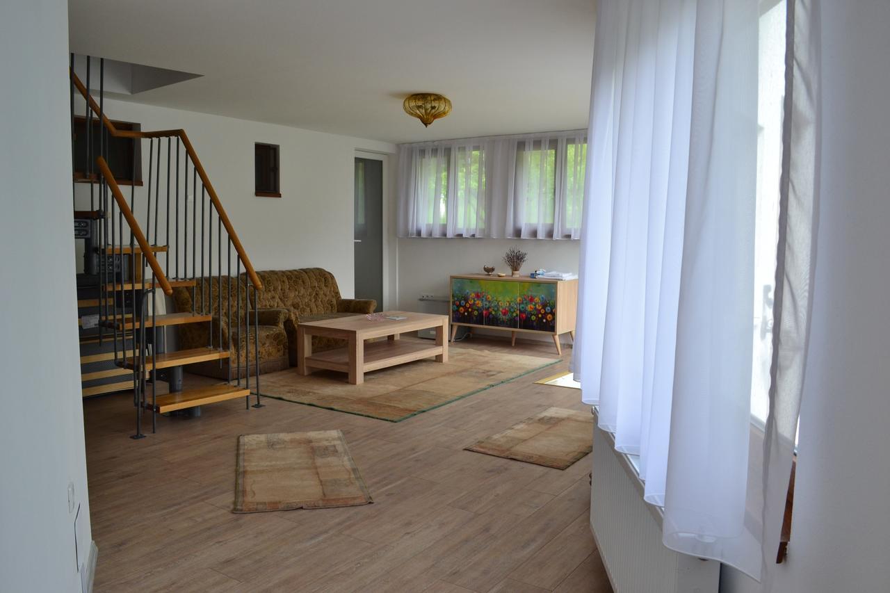 Casa Bota Hotel Felsővisó Kültér fotó