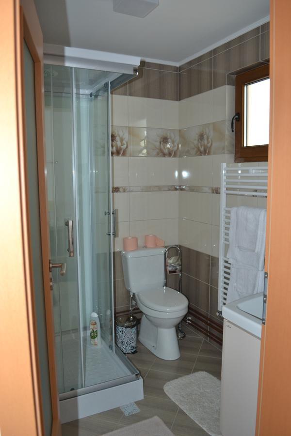 Casa Bota Hotel Felsővisó Kültér fotó