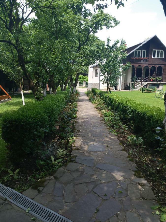 Casa Bota Hotel Felsővisó Kültér fotó